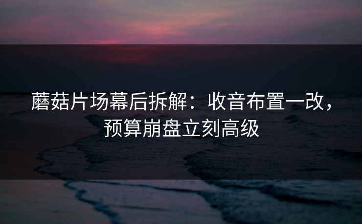 蘑菇片场幕后拆解：收音布置一改，预算崩盘立刻高级